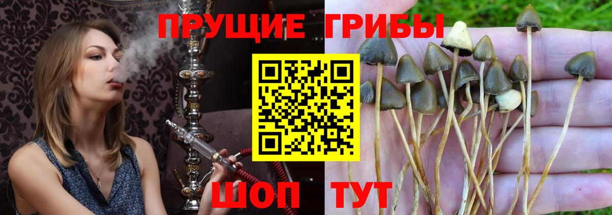 Галлюциногенные грибы прущие грибы Сатка
