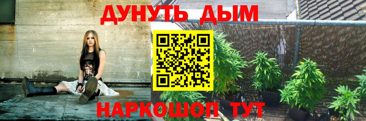 Марихуана Amnesia Сатка
